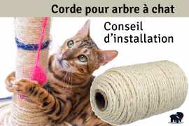 Corde pour arbre à chat, conseil d’installation !