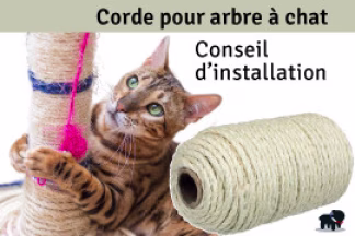 Corde pour arbre à chat, conseil d’installation !