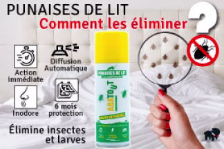 Comment se débarrasser des punaises de lit ?