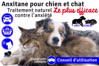 Anxitane chien et chat ! Conseil, Prix, Résultat !