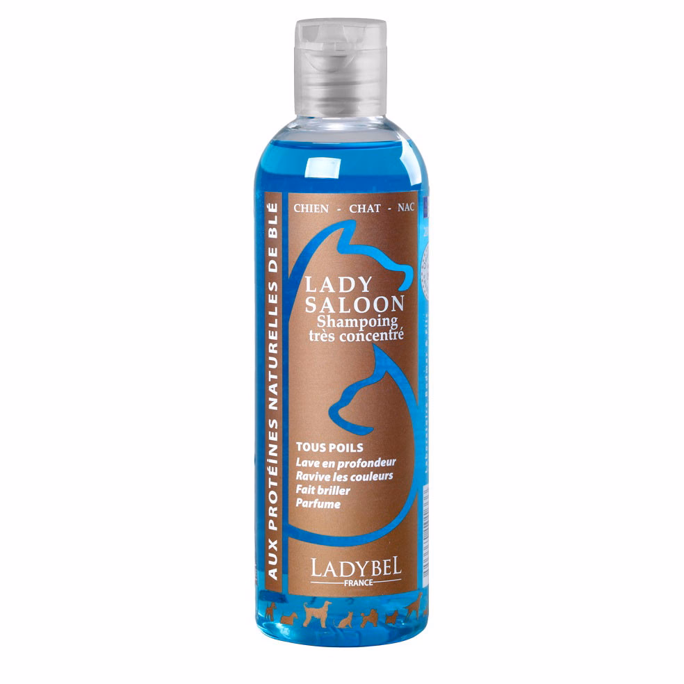 Saloon-200-shampoing-universel-professionnelJPEG.jpg