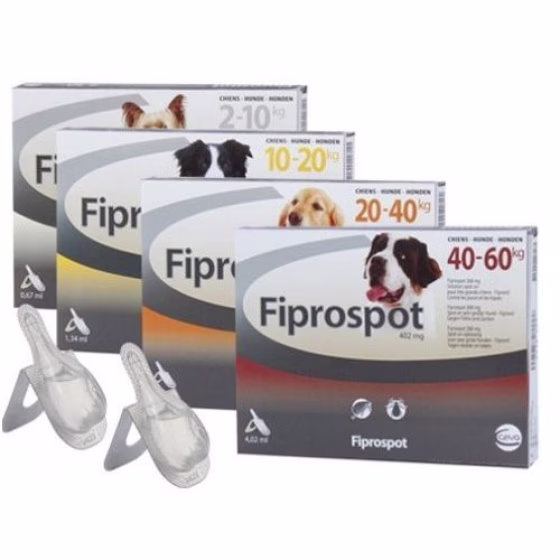 F_1ME05643.jpg