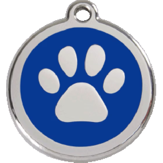 01-PP-DB_07.png