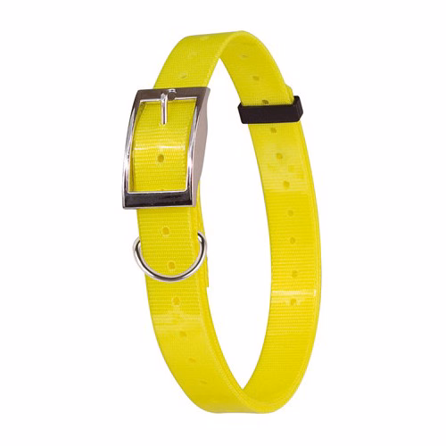 collier-fluo-plein-air-et-chasse.jpg