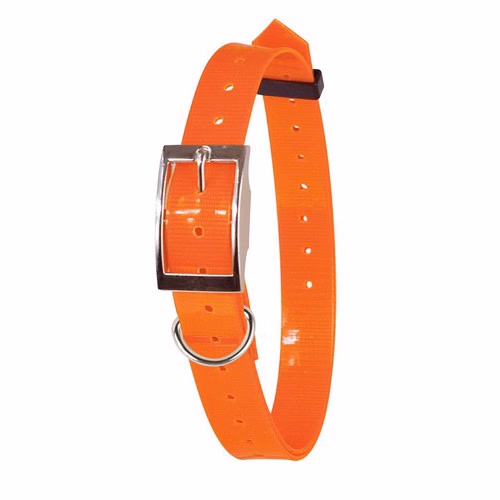 collier-fluo-plein-air-et-chasse-(1).jpg