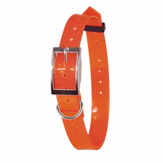 collier-fluo-plein-air-et-chasse-(1).jpg