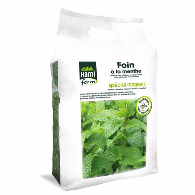 FoinMenthe.jpg