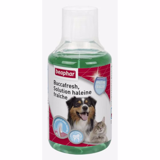 buccafresh-solution-haleine-fraiche-250-ml.jpg