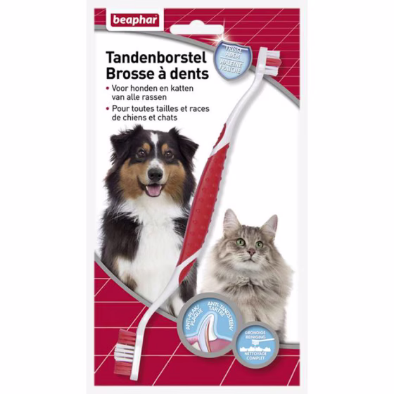 brosse-a-dents-haleine-fraiche-chien-et-chat.jpg