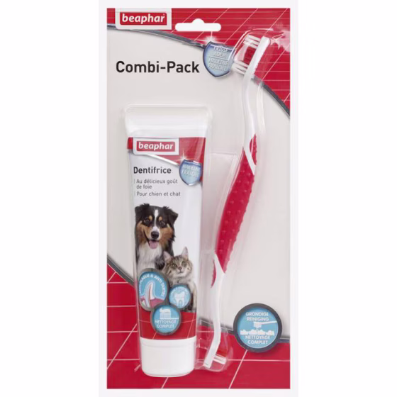 combi-pack-dentifrice-brosse-a-dents.jpg