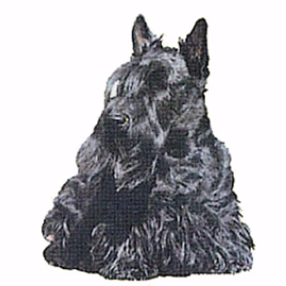d_42607.jpg