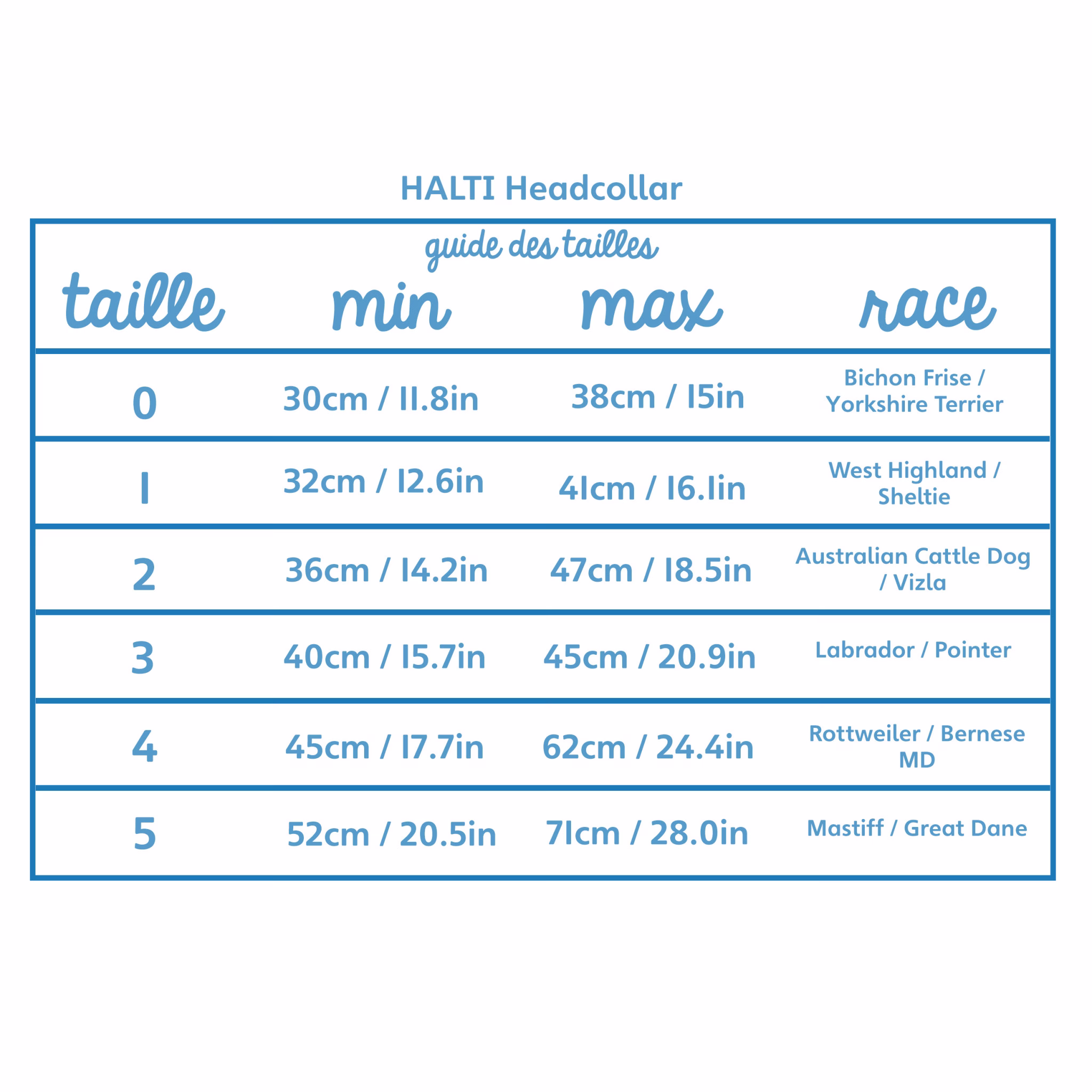 pvi-halti-headcollar-0111.jpg