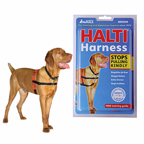 HALTI-HARNESS-BLACKRED-Medium-0.jpg