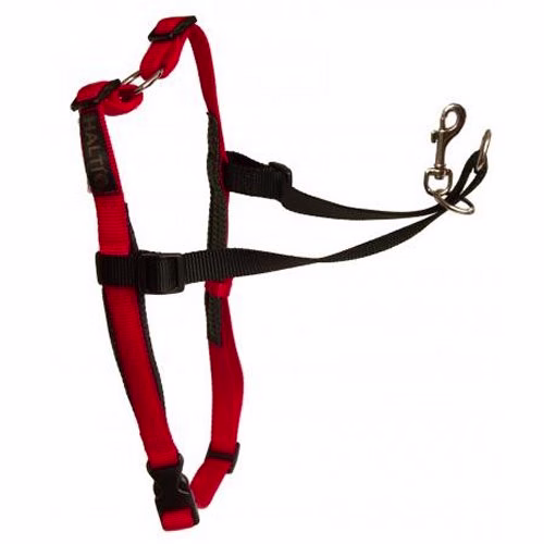 HALTI-HARNESS-BLACKRED-Medium-0.jpg