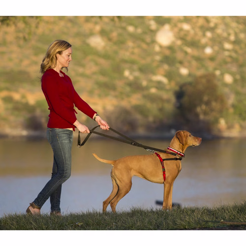 halti-training-lead-011.jpg