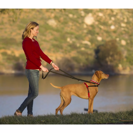 halti-training-lead-011.jpg