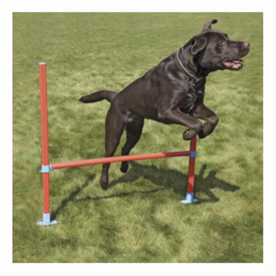 Agility_Hurdle.jpg