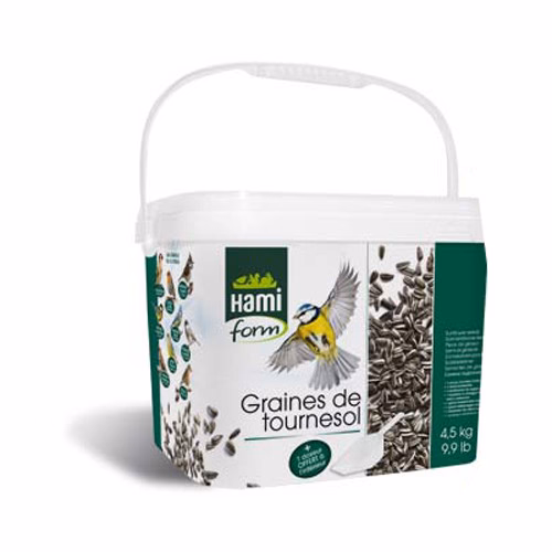 tournesol1.jpg