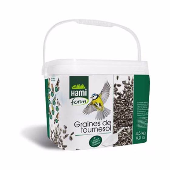 tournesol1.jpg