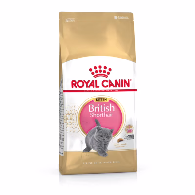 packshot_2016_fbn_dry_british_shorthair_kitten_4.jpg