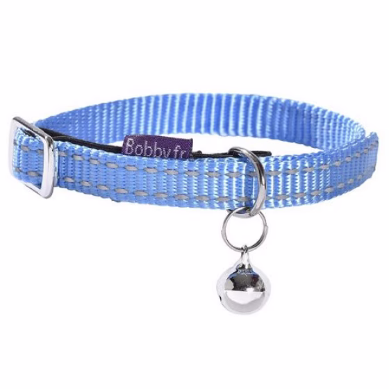 b_cksafe1bleu.jpg