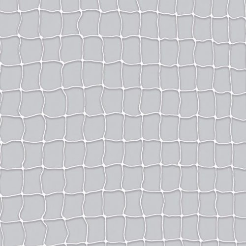44303.jpg