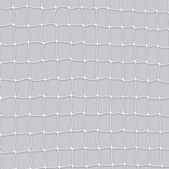 44303.jpg