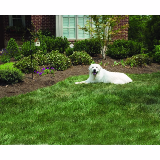 Pet_L0136.jpg