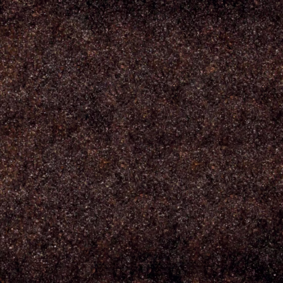 107294_45150.jpg