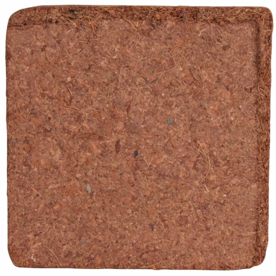107268_45133.jpg