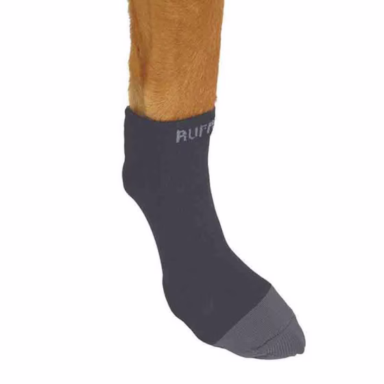 Ruff_158021.jpg
