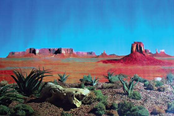 107o434_22758.jpg