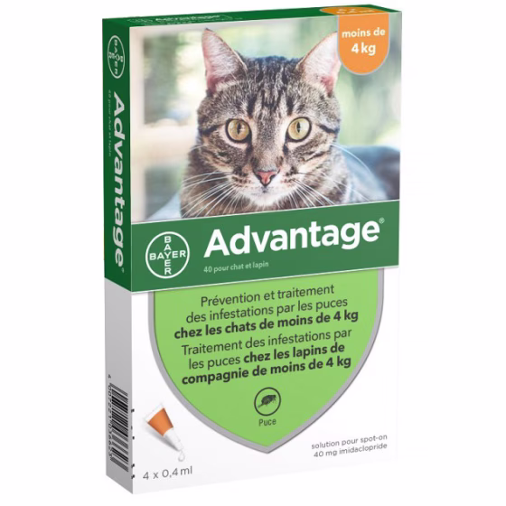 40-chat-et-lapin-de-moins-de-4-kg.jpg