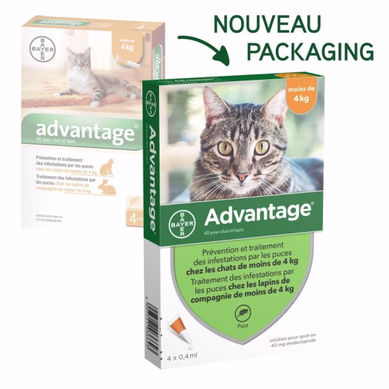 40-chat-et-lapin-de-moins-de-4-kg.jpg