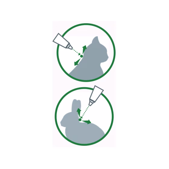 40-chat-et-lapin-de-moins-de-4-kg.jpg
