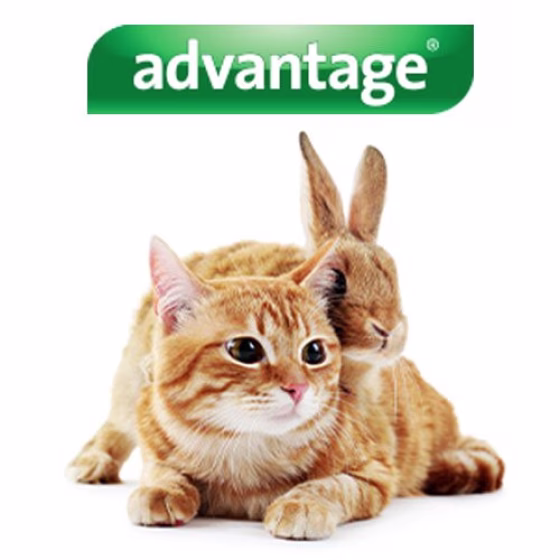 pipettes-advantage.jpg