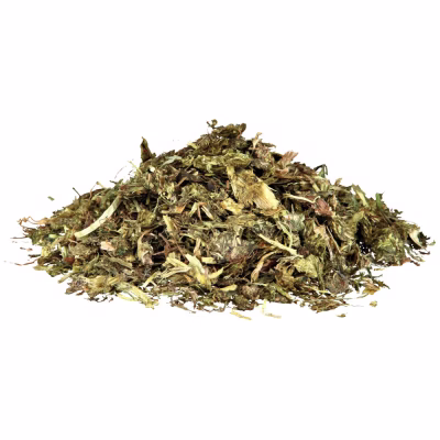 la_graminees-et-herbes-de-prairie-pour-tortues-24736.jpg