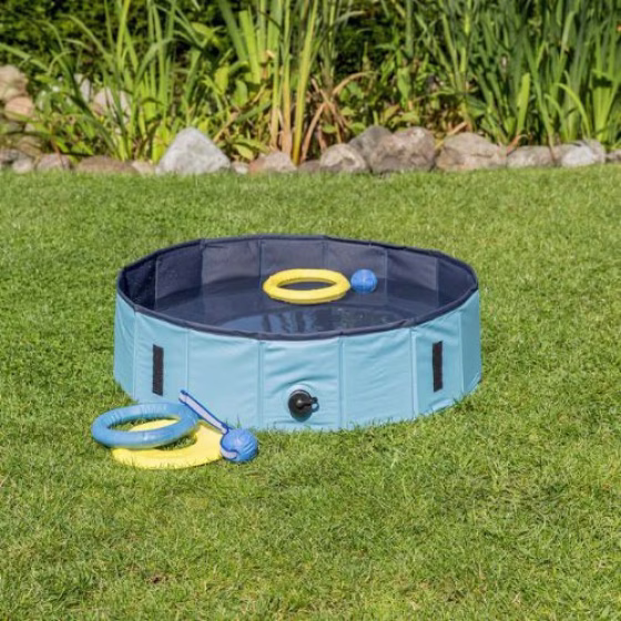 Piscine pour chien