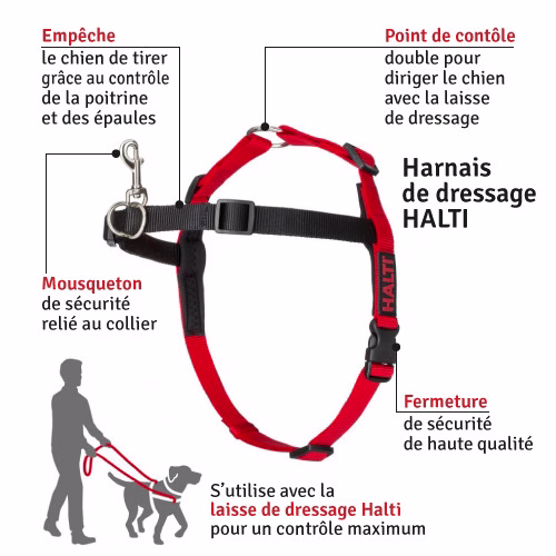 HALTI-HARNESS-BLACKRED-Medium-0.jpg