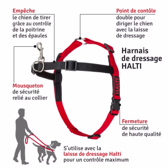 HALTI-HARNESS-BLACKRED-Medium-0.jpg