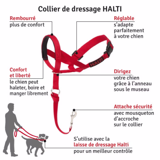 1-HALTI-Headcollar-Large5.jpg