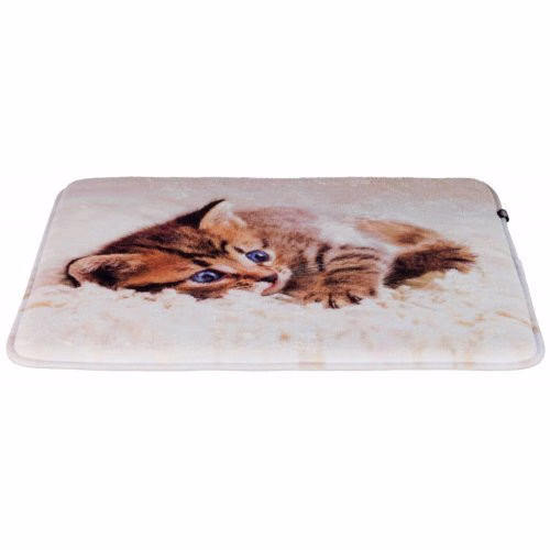 Image34.jpg