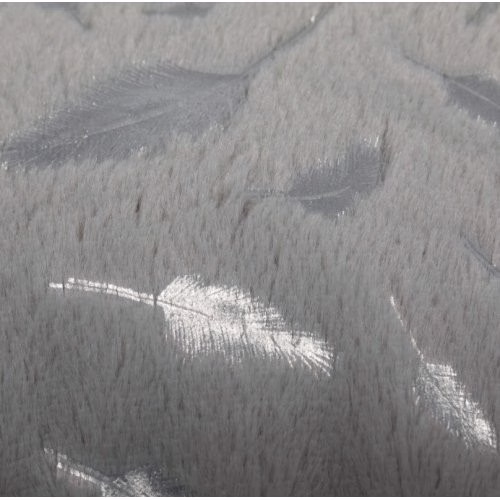 Image17.jpg