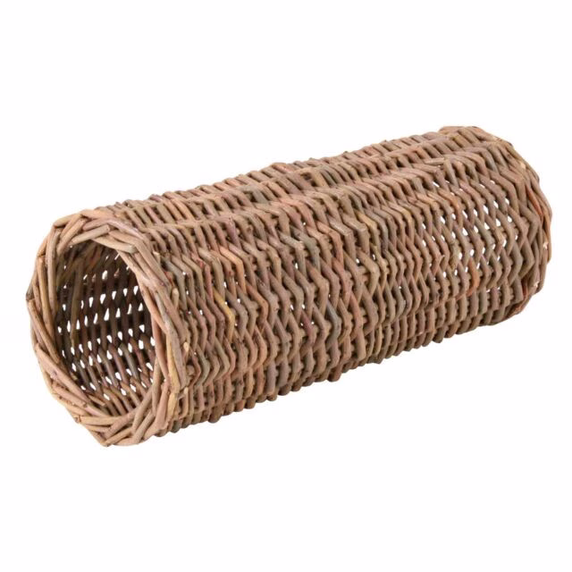 Image92.jpg