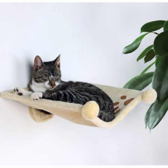 Image44.jpg