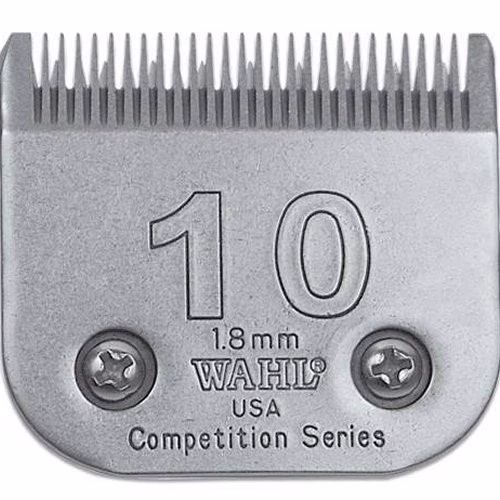 Image1.jpg