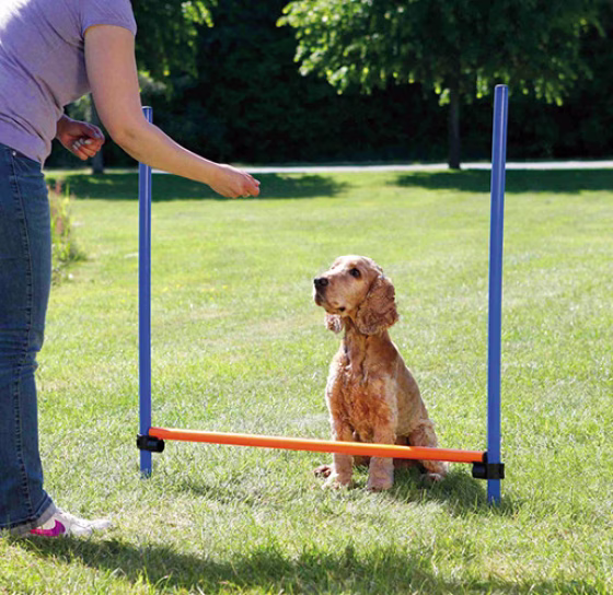 Obstacle 1.png