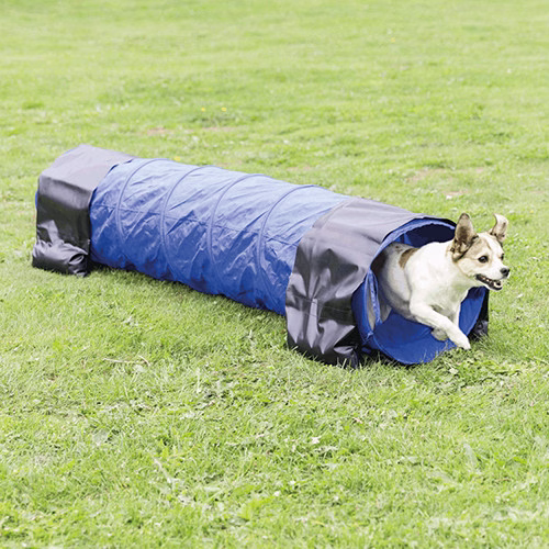 208947_PHO_PRO_DOG_3210-5.jpg