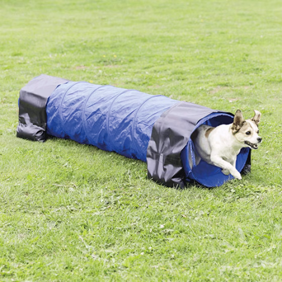 208947_PHO_PRO_DOG_3210-5.jpg