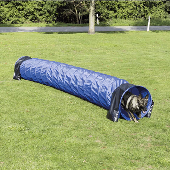 215025_PHO_PRO_DOG_3211-4.jpg